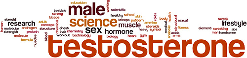 Testosterone word cloud