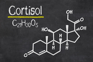 Cortisol chemical diagram