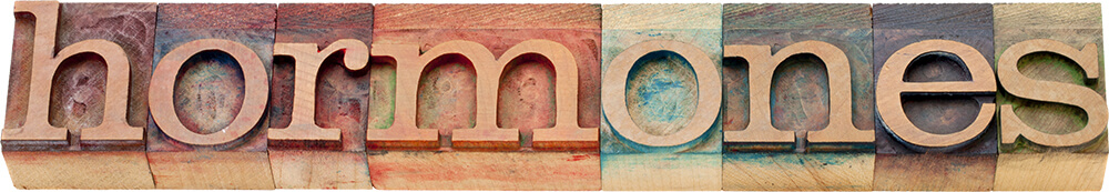 Hormones Word Block