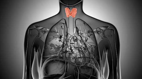 Thyroid Hormone Replacement Therapy