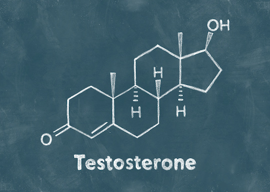 Testosterone Hormone Balancing