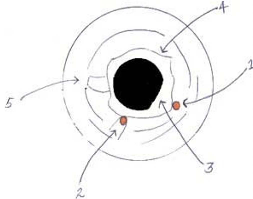 Iris Analysis