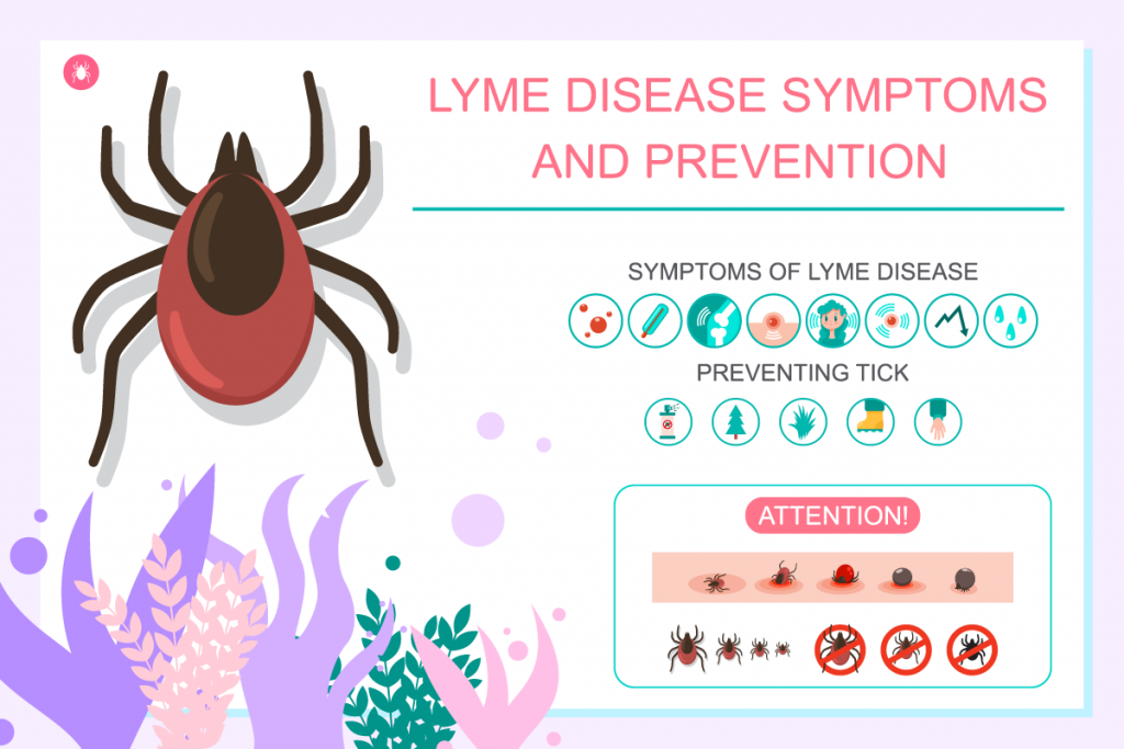 TickBorne Disease & Prevention An Optimal You