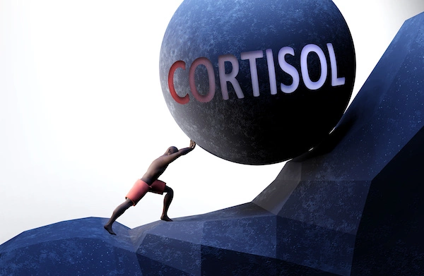 Cortisol Hormone Balancing